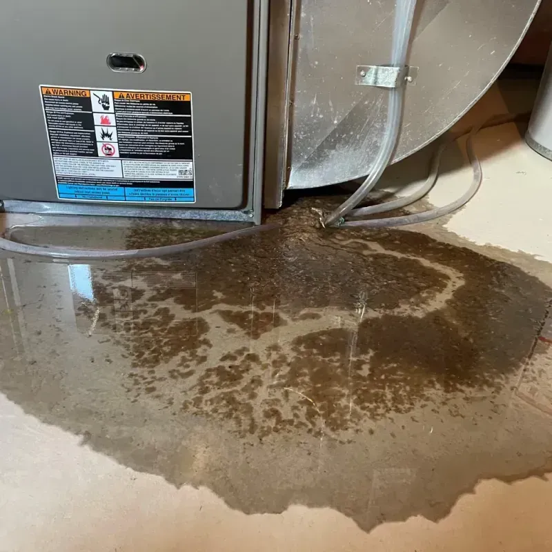 Appliance Leak Cleanup in Metuchen, NJ